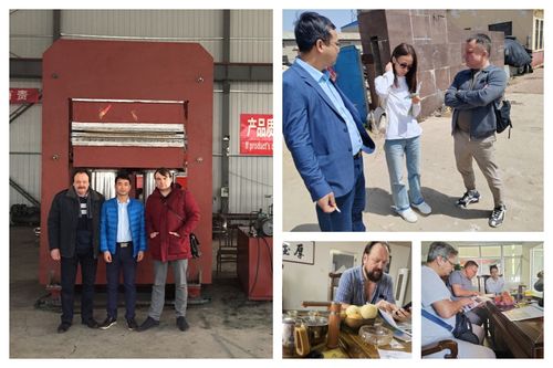 Últimas soluciones de la empresa sobre Los clientes europeos compraron una máquina de vulcanización de moldeo de caucho